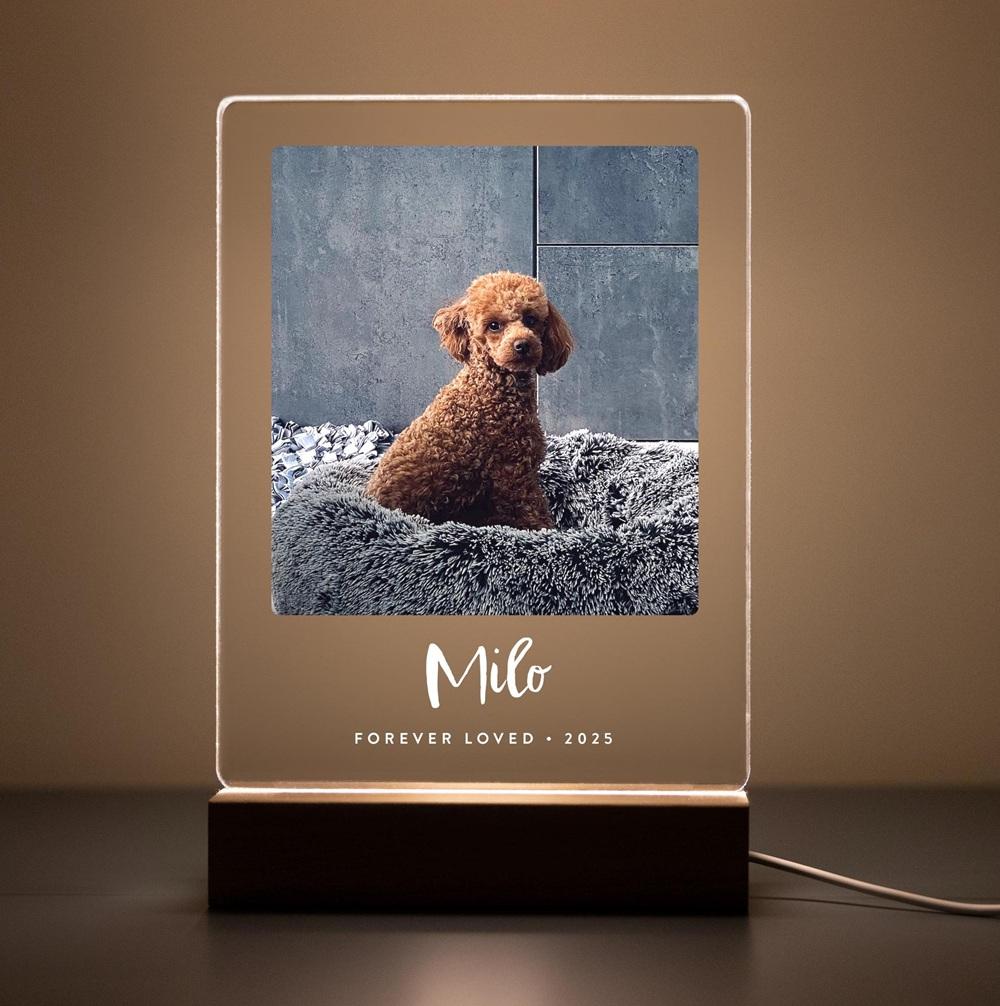Custom Dog Photo Plaque Pet Memorial Gift with LED Light Pet Loss Sympathy Keepsake Personalized Remembrance Gift