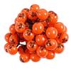 Oeny Solar Persimmon String Lights