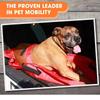 Waterproof Pet Transport Stretcher Foldable Wear-resistant Emergency Backpack Anti-bite Comfortable Dog Carrier Stretcher