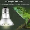 UVA+UVB Reptile Heat Lamp Holder 25/50/75W Full Spectrum Tortoise Light Blub