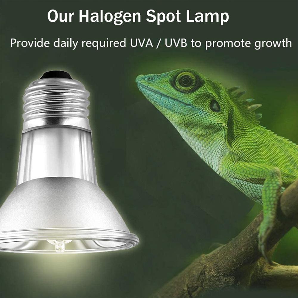 UVA+UVB Reptile Heat Lamp Holder 25/50/75W Full Spectrum Tortoise Light Blub