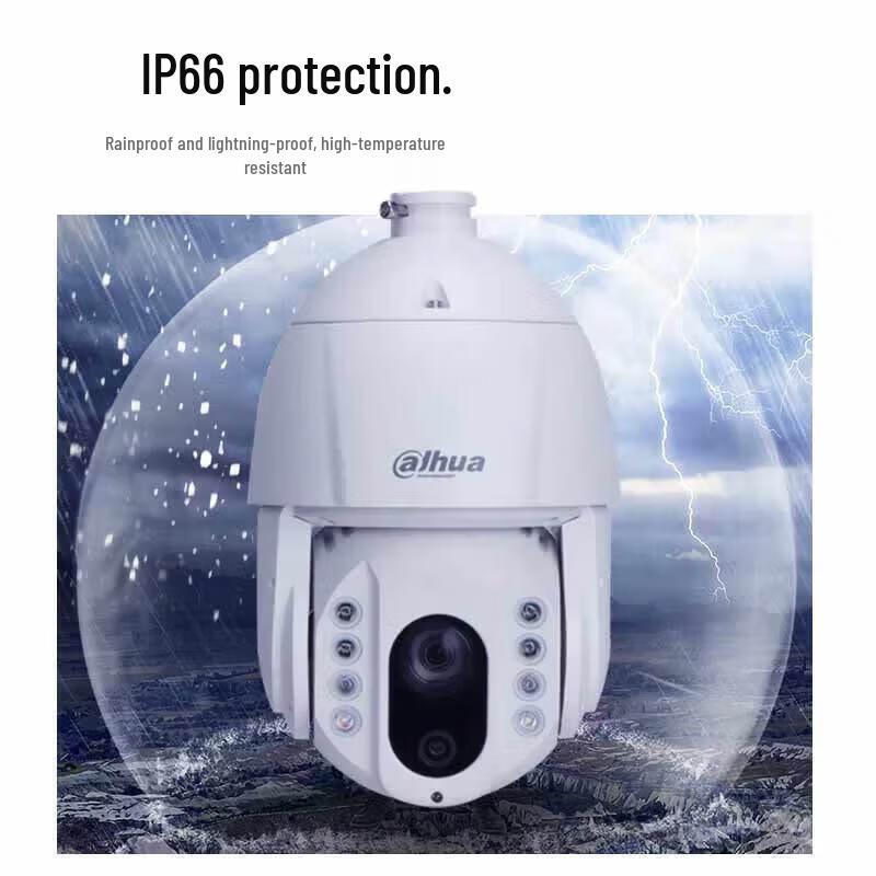 

Dahua 6-inch 4MP AI PTZ Camera with 23x Optical Zoom CN plug (adapter included)