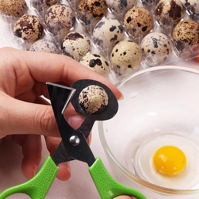 Pigeon Quail Egg Scissor Bird Cutter Opener Egg Slicers Kitchen Tool Clipper