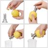 Hand Juicer Pourer Screw Juice Squeeze Manually Lemon Squeezer Stainless Steel Fruit Tool For Lemon Orange Limes Citrus