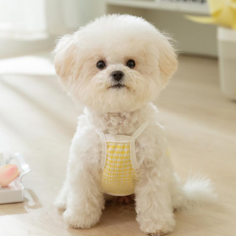 Small Fresh Candy Color Striped Suspender Dog Clothing Small Dog Teddy Bears Magic Fight Spring Summer Pet Clothing