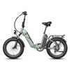 Electric Bicycle All Terrain Fafrees FF20 Polar 500W Motor 20" Fat Tire Adult Electric Bike 48V 26.8AH Shimano 7 Speed Max Load 150Kg