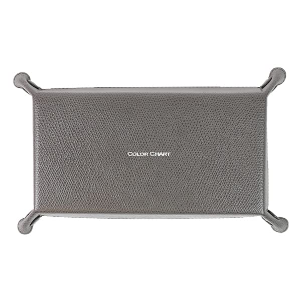 Color Chart Leather Tray 84 Anchor Gray