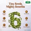 TATA Sampann Pumpkin Seeds 200g Pack Rich In Protein Fibre Magnesium Phosphorus Raw Unroasted