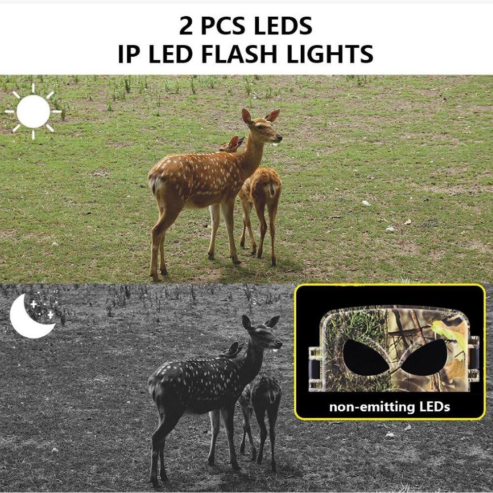 No Glow Night Vision PR8000 Wifi Camera 8K 120° Motion Wildlife Photo  Pasture