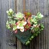 Retro Heart-shaped Succulent Resin Flower Pot Wall-mounted Succulent Display Set, Green Plant Flower Container, Resin Wall Decoration