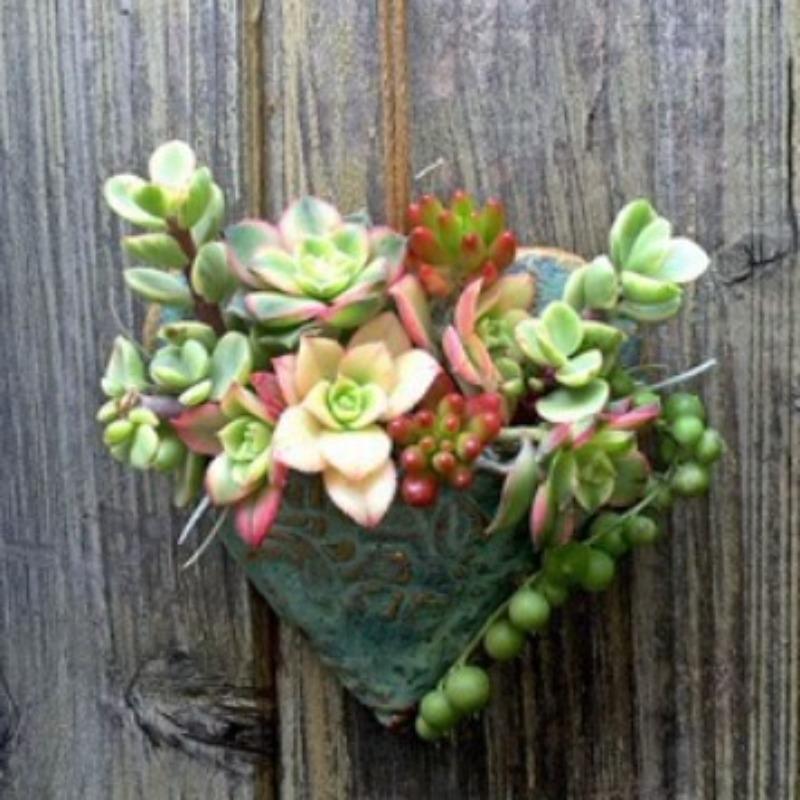 Retro Heart-shaped Succulent Resin Flower Pot Wall-mounted Succulent Display Set, Green Plant Flower Container, Resin Wall Decoration