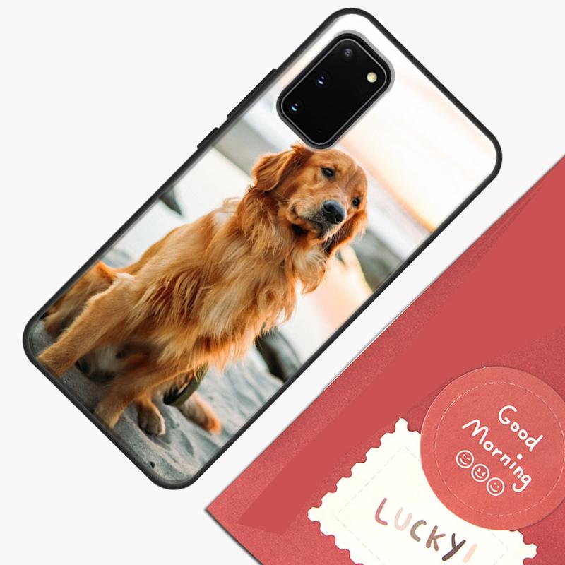 Golden Retriever Hund Handyhülle Für Samsung Galaxy S24 S26 Ultra S20 S21 S22 S23 S25 Plus S10 S25 FE Hülle Schale