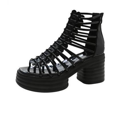 Sandalias de Tacón Grueso de Moda para Mujer Verano 2024 Nuevas Boca de Pez Tacones Altos Cremallera Trasera Huecas Botas Frías Tacón Ultra Alto Sandalias Romanas