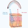 EMS Micro-current Face Massager Face Lifting Beauty Instrument