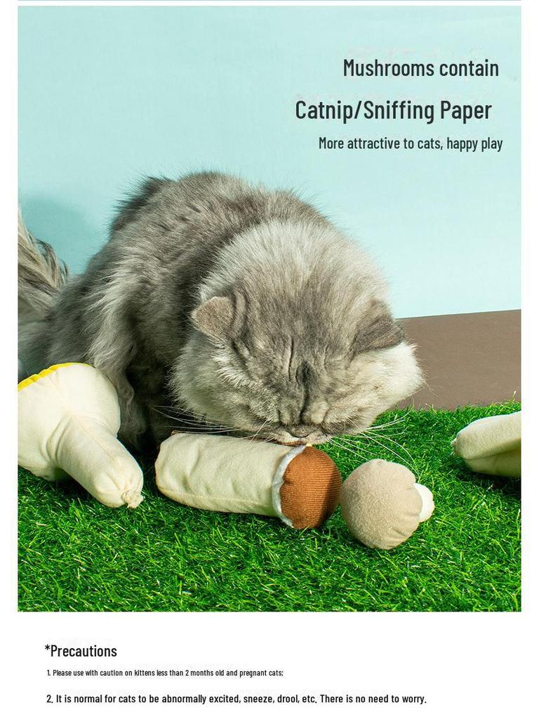 Catnip Plush Finger Toys with Rattle Paper - Pet Educational Chew Toys