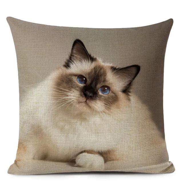 Haustier Katze Print Wurf Kissenbezug Niedliche Kurzhaar Dekorative Kissenbezug für Wohnkultur
