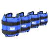 Longchan Fitness Weighted Leg Weights