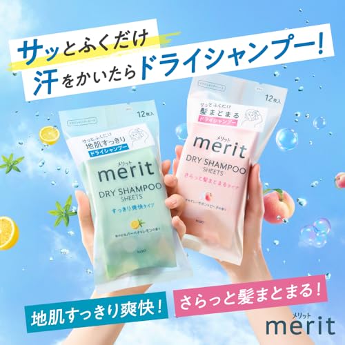 Merit Merit Day Plus Dry Shampoo Sheet White Green 12 Pieces