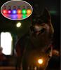 Rechargeable LED Cat Collar – Ultra-Bright Necklace & Pendant for Nighttime Pet Visibility