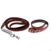 Pet Walking Training Dogs Leashes Medium Puppy Black,Brown