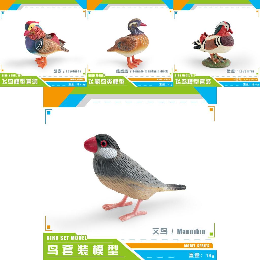 Mandarin Duck Bird Model Pvc Realistic Parrot Desktop Decor For Kids And Collectors