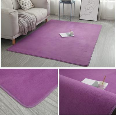 2025 Tapis Salon Simple Moderne Chambre Tapis Peluche Tapis Tatami Nordique