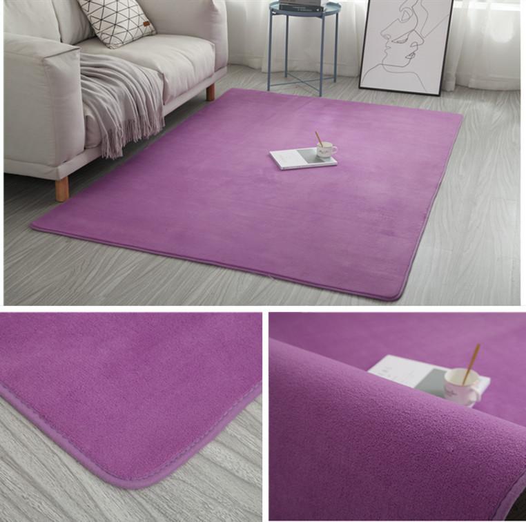 2025 Carpet Living Room Simple Modern Bedroom Plush Carpet Nordic Tatami Carpet