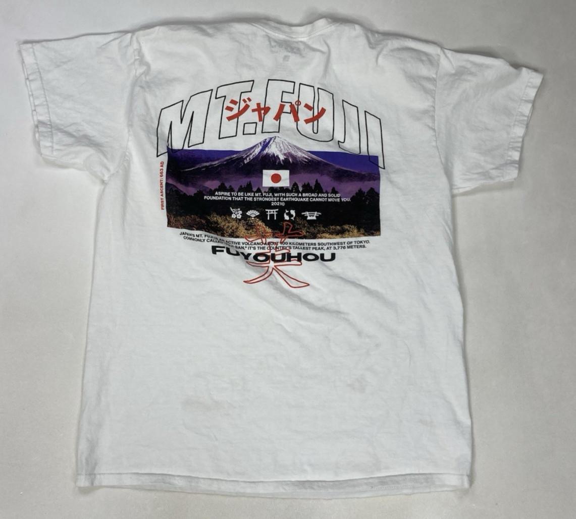 Pacsun Mt Fuji Graphic T-shirt Men Large White Short Sleeve L