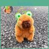 Headband Frog Animal Capybara Plush Keyring Pendant For Gift And Accessories