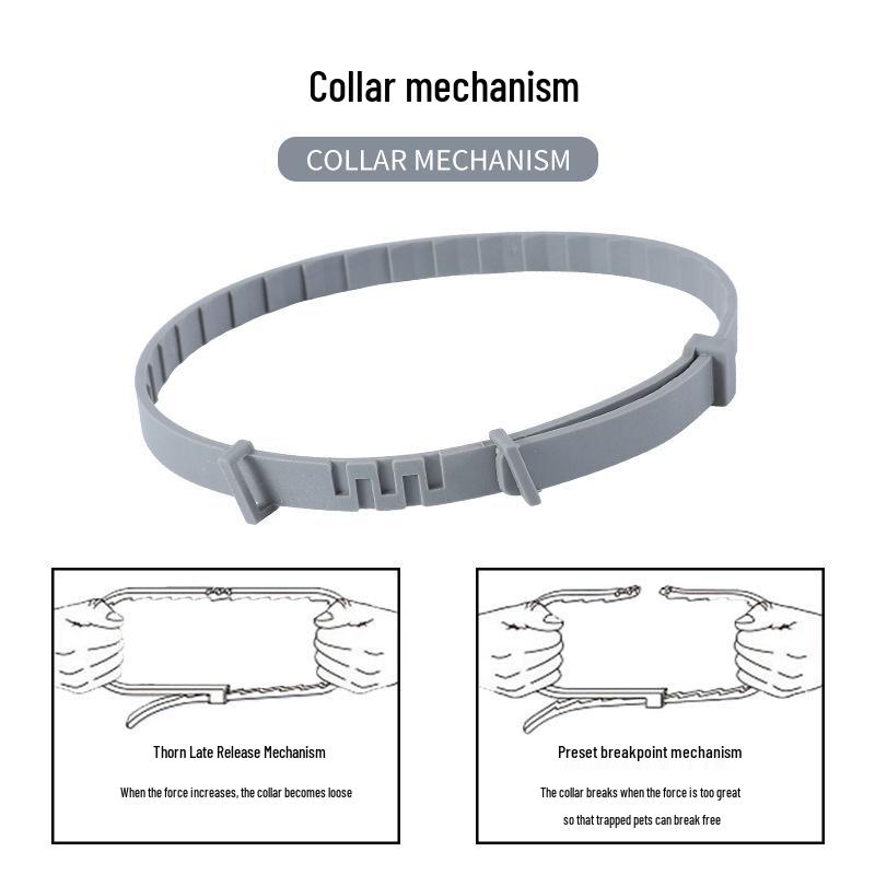 Verstellbares nicht-repellierendes Haustierhalsband für Hunde und Katzen