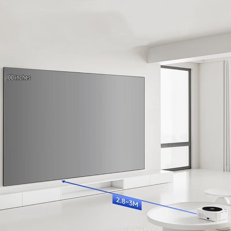 VIVI SCREEN 100-inch Fresnel Grey Anti-Light Projector Screen