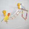 Suction Cup Wood Parrot Stand Hanging Bird Toy Window Shower Perch Toy for Budgie Bluebirds Hummingbird Bird Supplies