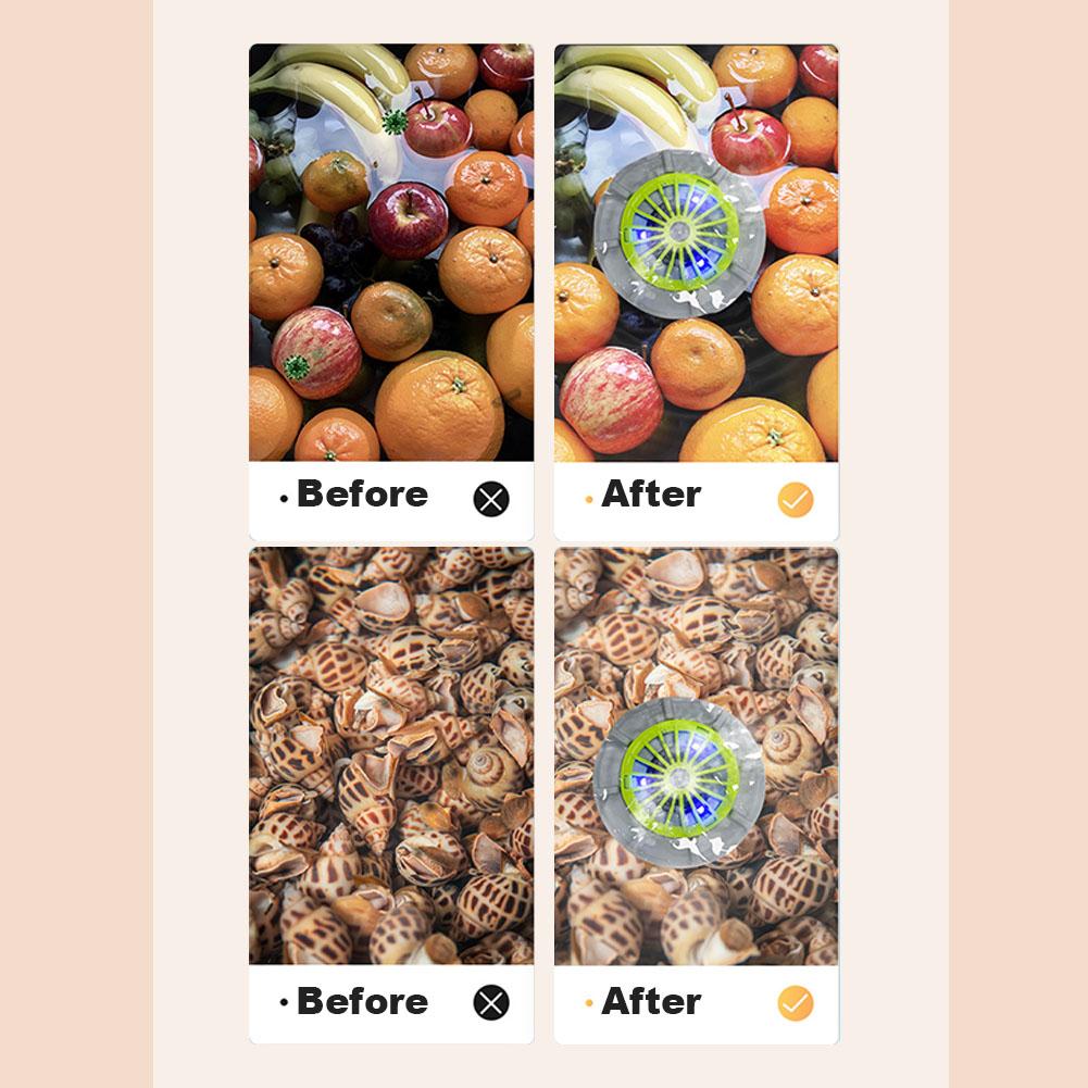 Automatic Vegetable Washing Machine Made Of Food-Grade Materials Easily Removes Pesticide Residues Vegetable Purifier