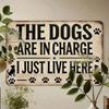 Vintage Metal Tin Sign Dog Lovers Wall Art Decor Joom