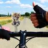 2Pcs Acrylic Automobile Ornaments Multipurpose 2D Cartoon Cat Shaped Car Decorations Hanging Ornaments