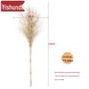 Yishunda Outdoor Bamboo Brooms