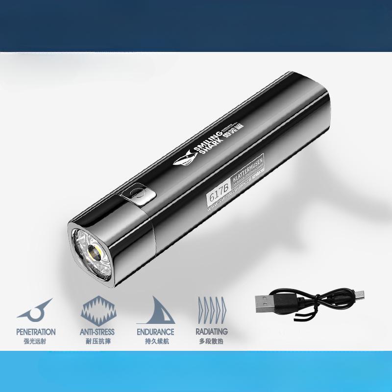 

Сильный свет, портативный фонарик, перезаряжаемый мини-студенческий маленький бытовой светильник, уличный светодиодный фонарик с длинным лучом 617B-BS -charging