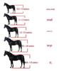 Complete Handmade Equine Bridle Set: Bit, Rein, Lead Rope & Halter