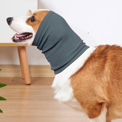 Giyim ve ayakkabı – Köpek Aksesuarları