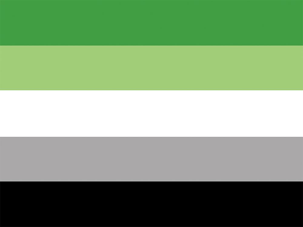 Aerlxemrbrae Bandiera Arcobaleno 150X90CM Stendardo Poliestere 100D occhielli lgbt Gay arcobaleno Progress Pride flag