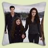 La Saga di Twilight Edward Cullen Copricuscini Moderni Cartoni Animati Divano Decorativo Casa Stampa Double-Sided Peluche Corto Cuscino Carino