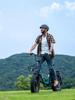 ENGWE L20 Boost Electric Bike – 250W Motor, 48V13Ah Battery, 126km Range, 20x4.0 Fat Tires, 7-Speed, LCD Display