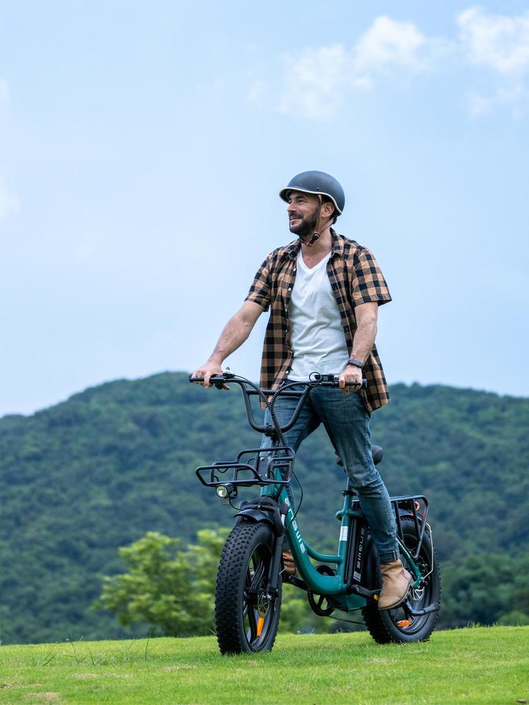 ENGWE L20 Boost Electric Bike – 250W Motor, 48V13Ah Battery, 126km Range, 20x4.0 Fat Tires, 7-Speed, LCD Display