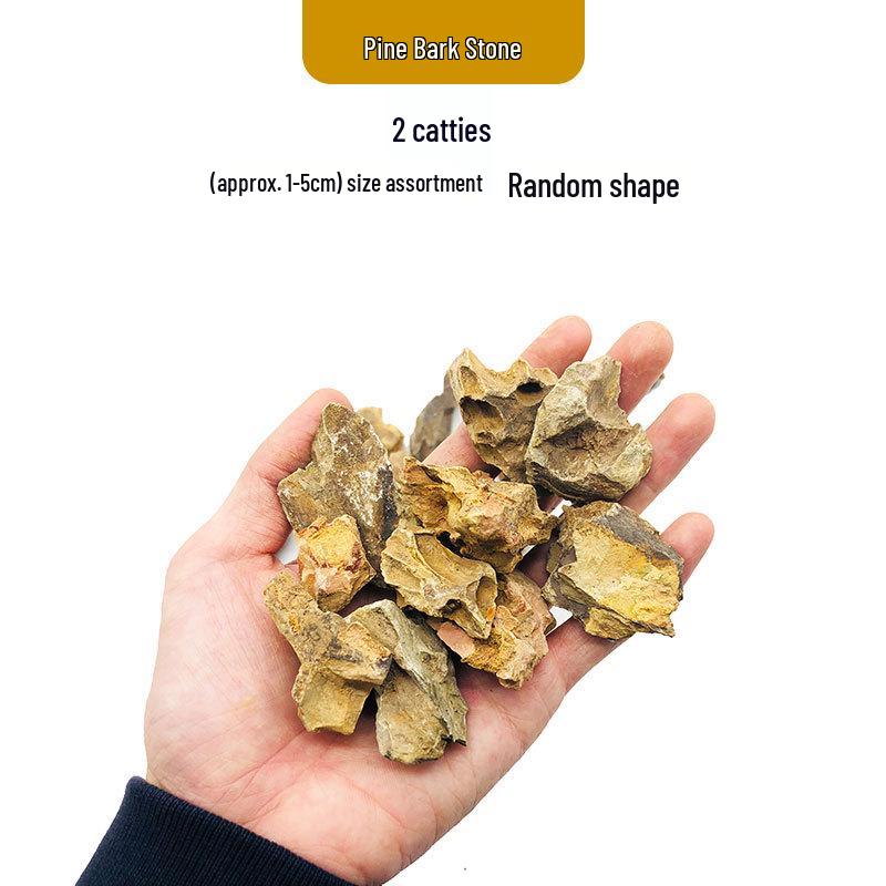 Azure Dragon Aquarium and Bonsai Landscaping Stone Set