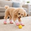 Breathable Dog Mesh Shoes Rubber Sole Dog Paw Protectors Anti-Slip Dog Boots  Training