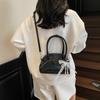 Exquisite Super-hot Niche Bag Women's 2025 New Summer Fashion Versatile Shoulder Messenger Bag Handbag Small Bag