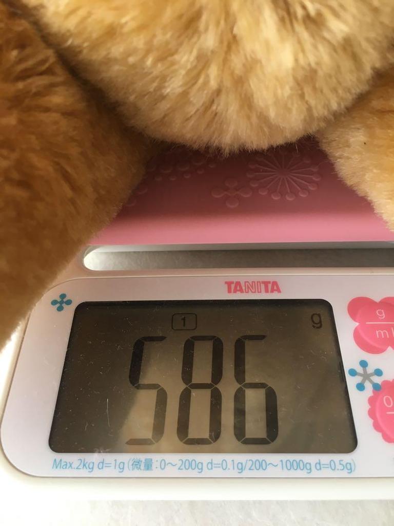 [USED] Rare Dean's Rag Book Teddy Bear Charlie Bears