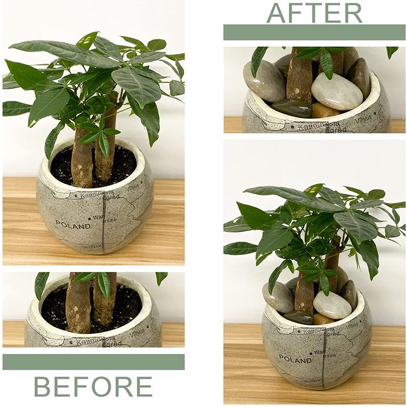 Natural Yuhua Cobblestone Pebbles for Fish Tanks - Small White & Colored Decorative Stones for Turtle Tanks & Landscaping
