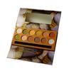 Zwölf Farben Ölgemälde-Lidschatten lassen sich nicht leicht vom Make-up abnehmen. Perlglanz-Matt-Pflege-Lidschatten-Palette in Erdtönen