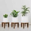 Kreuzrahmen Holz Pflanzenständer Kiefernholz Tischplatten Pflanzenregal Indoor Blumentopfhalter Schreibtisch Display